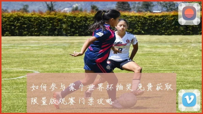 如何参与蒙牛世界杯抽奖 免费获取限量版观赛门票攻略