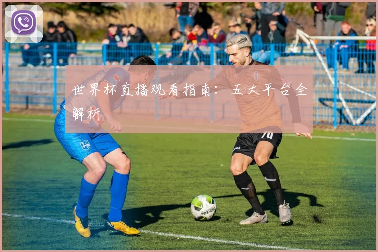 世界杯直播观看指南：五大平台全解析
