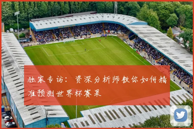 独家专访：资深分析师教你如何精准预测世界杯赛果