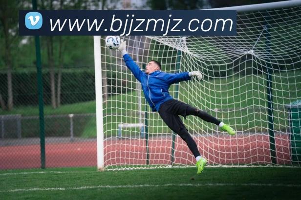 8868官网登录品牌故事