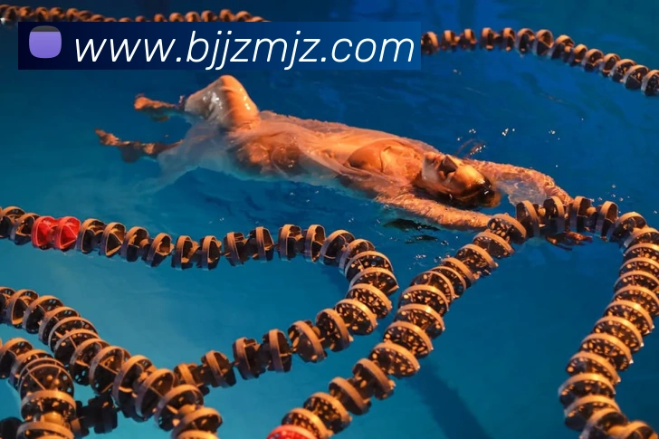 8868官网登录服务体系